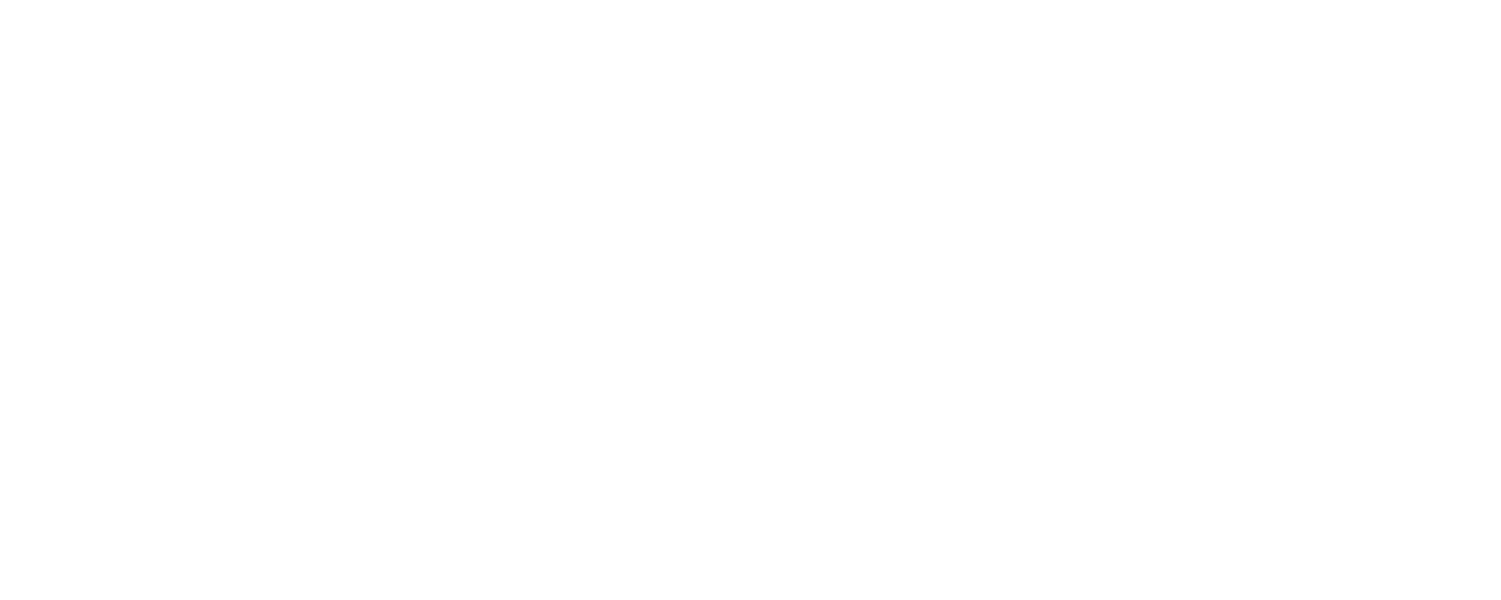 MCN Logo